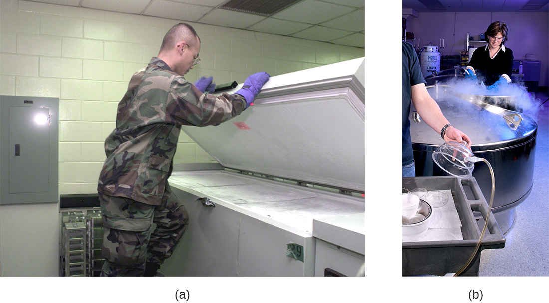 Photo of a person standing in front of a large freezer. Photo of a person standing in front of a large freezer.