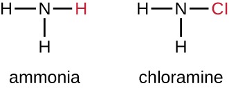 Ammonia has an N and 3 Hs.  Chloramine has an N, 2 Hs and 1 Cl.