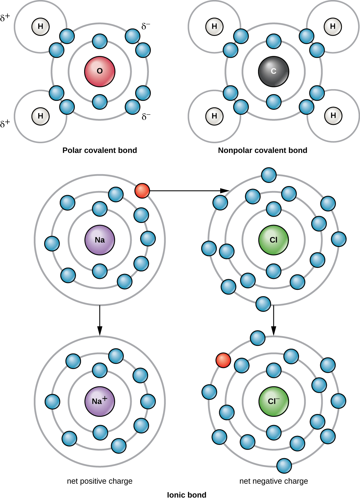 A water molecule is labeled “polar covalent bond”; it consists of a central oxygen atom with 8 electrons in its outermost shell, 4 of which are shared (2 each) with 2 hydrogen atoms; the hydrogen atoms have a slightly positive charge and the oxygen atom has a slightly negative charge. A methane molecule is labeled “nonpolar covalent bond”; it consists of a central carbon atom with 8 electrons in its outermost shell, all of which are shared (2 each) with 4 hydrogen atoms; the molecule is neutral. The formation of sodium chloride is shown, with the sodium atom giving the only electron in its outermost shell to the chlorine atom, resulting in a sodium atom with no electrons in its outermost shell and a net positive charge, and a chlorine atom with 8 electrons in its outermost shell and a net negative charge.