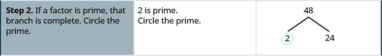 One row down, the instructions in the first cell say: “Step 2. If a factor is prime, that branch is complete. Circle the prime.” In the second cell, the instructions say: “2 is prime. Circle the prime.” In the third cell, the factor tree from step 1 is repeated, but the 2 at the bottom of the tree is now circled.