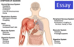 AP Key Terms 01 Human Body Anatomy Physiology by OpenStax